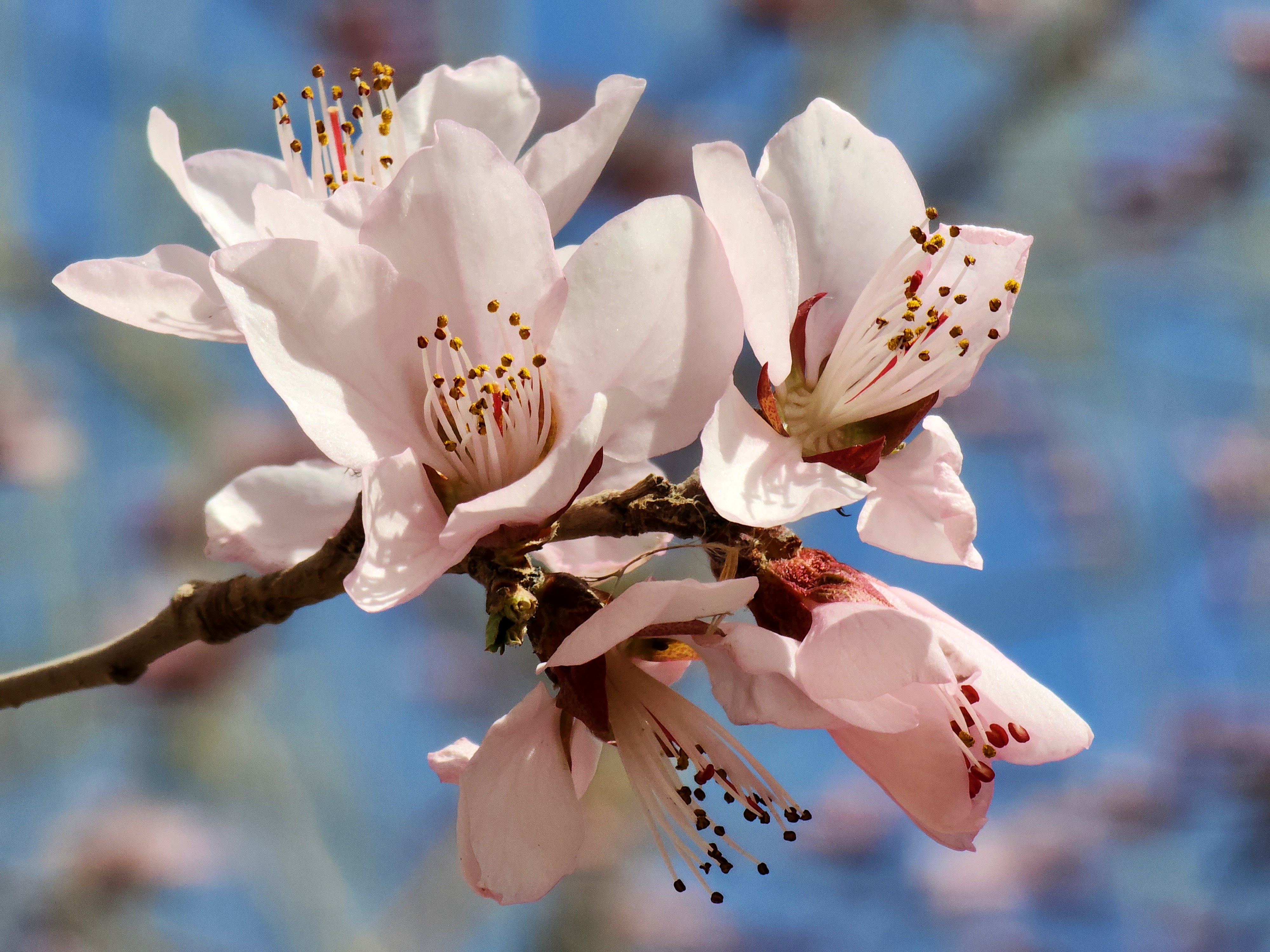 20260313_125749_副本