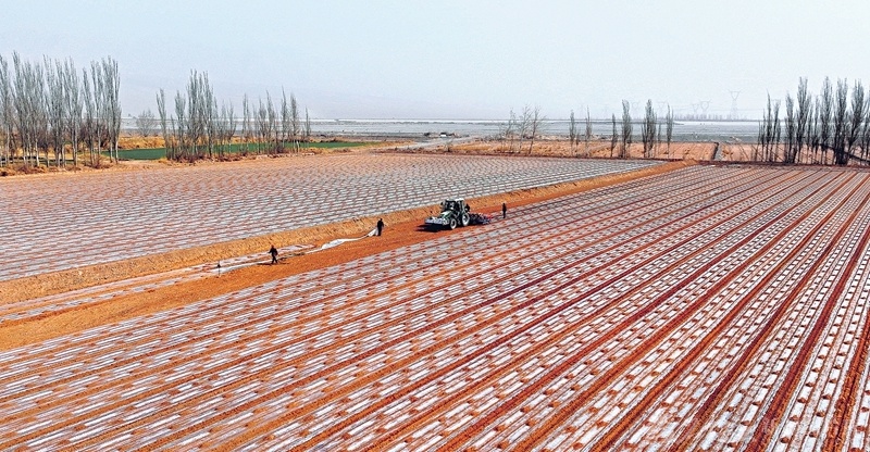 3月17日，新疆阿克苏地区库车市伊西哈拉镇艾日克阿热斯村一处农田里，村民驾驶播种机播种孜然。（摄影：吐尔松·托胡提）