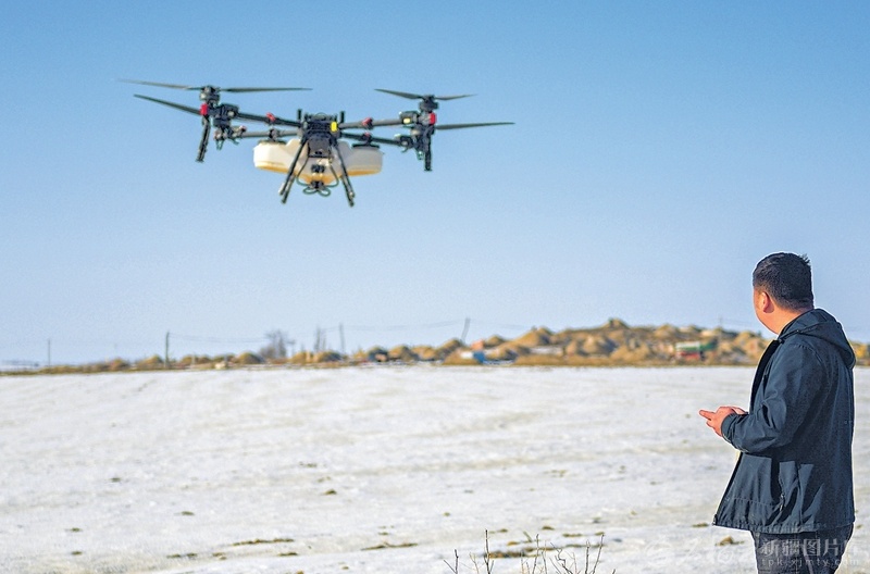 3月16日，乌苏市西湖镇西湖村村民操作植保无人机为冬小麦播撒融雪肥。眼下，乌苏市7.2万亩冬小麦陆续返青，农技人员深入田间，指导村民科学施肥，护航小麦健康生长。（摄影：李仁锡）