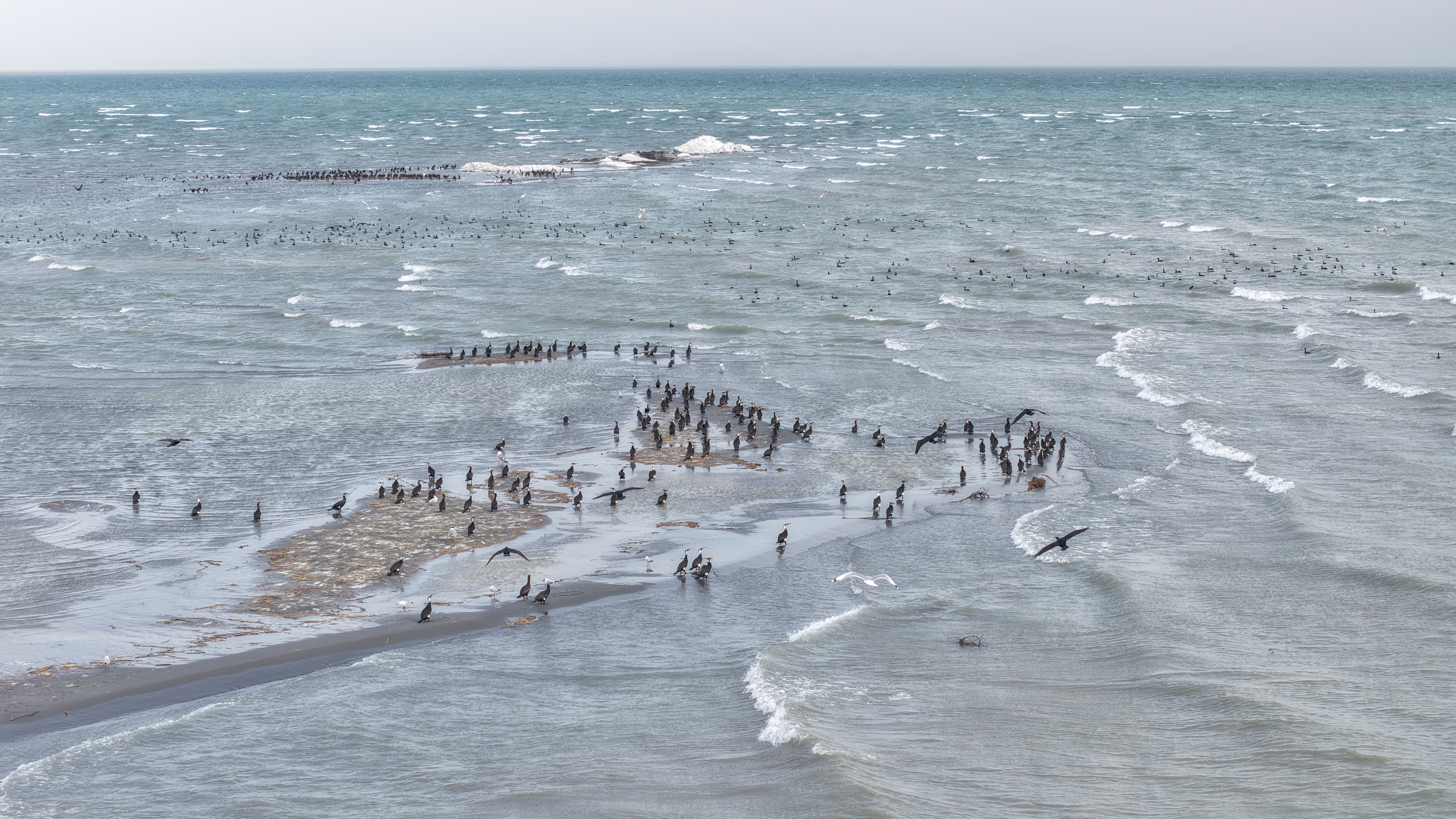 mmexport1774953890462