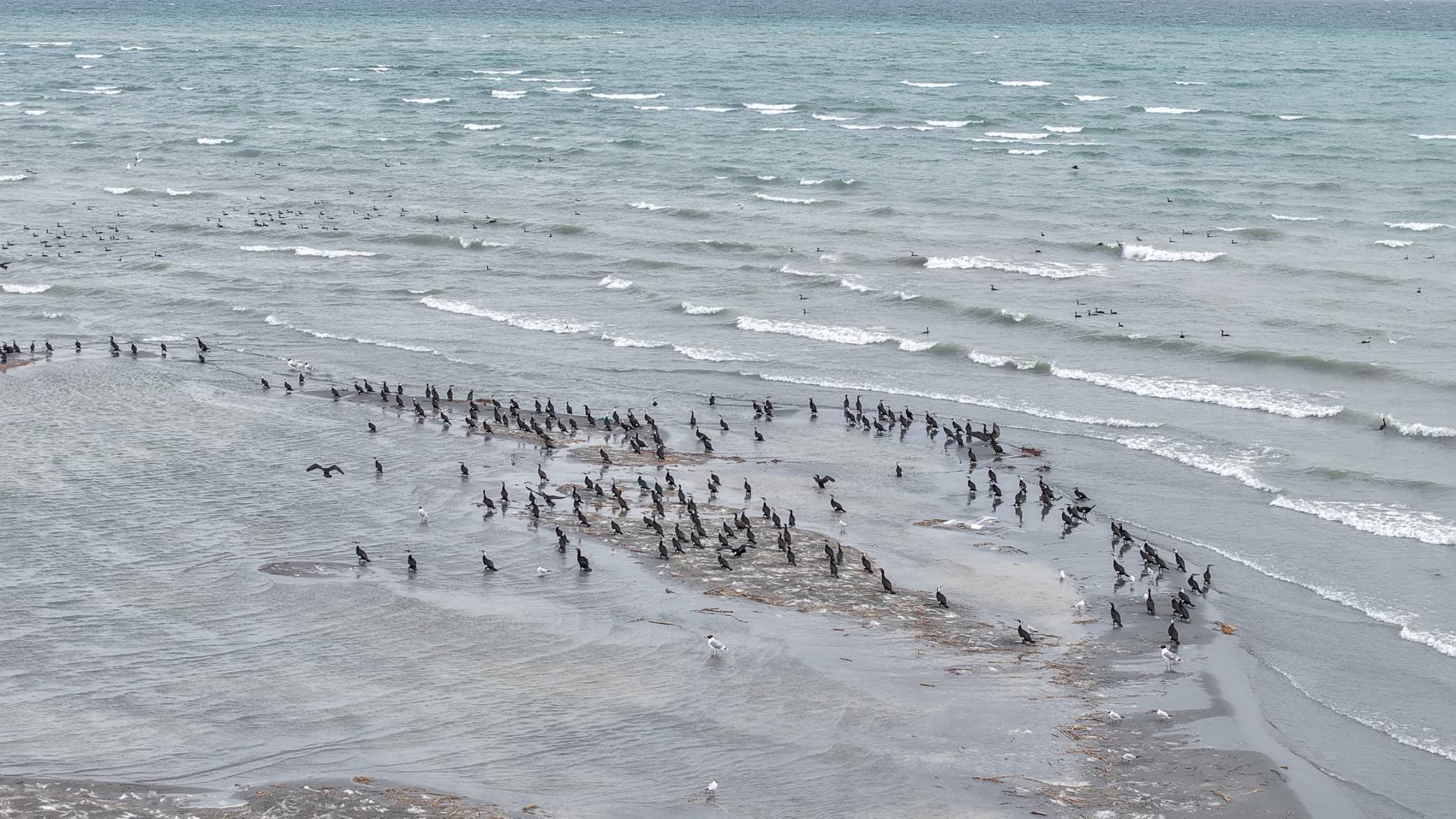 mmexport1774953896762