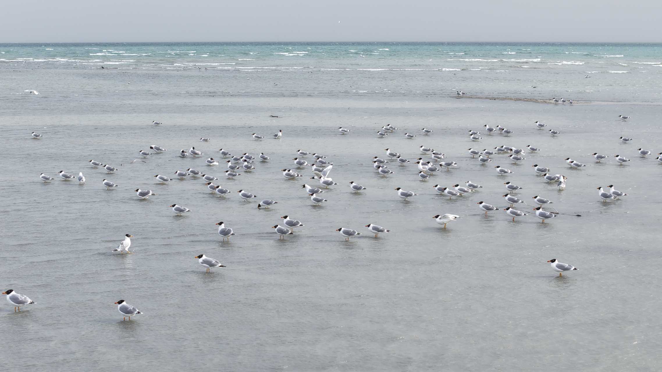 mmexport1774953901414