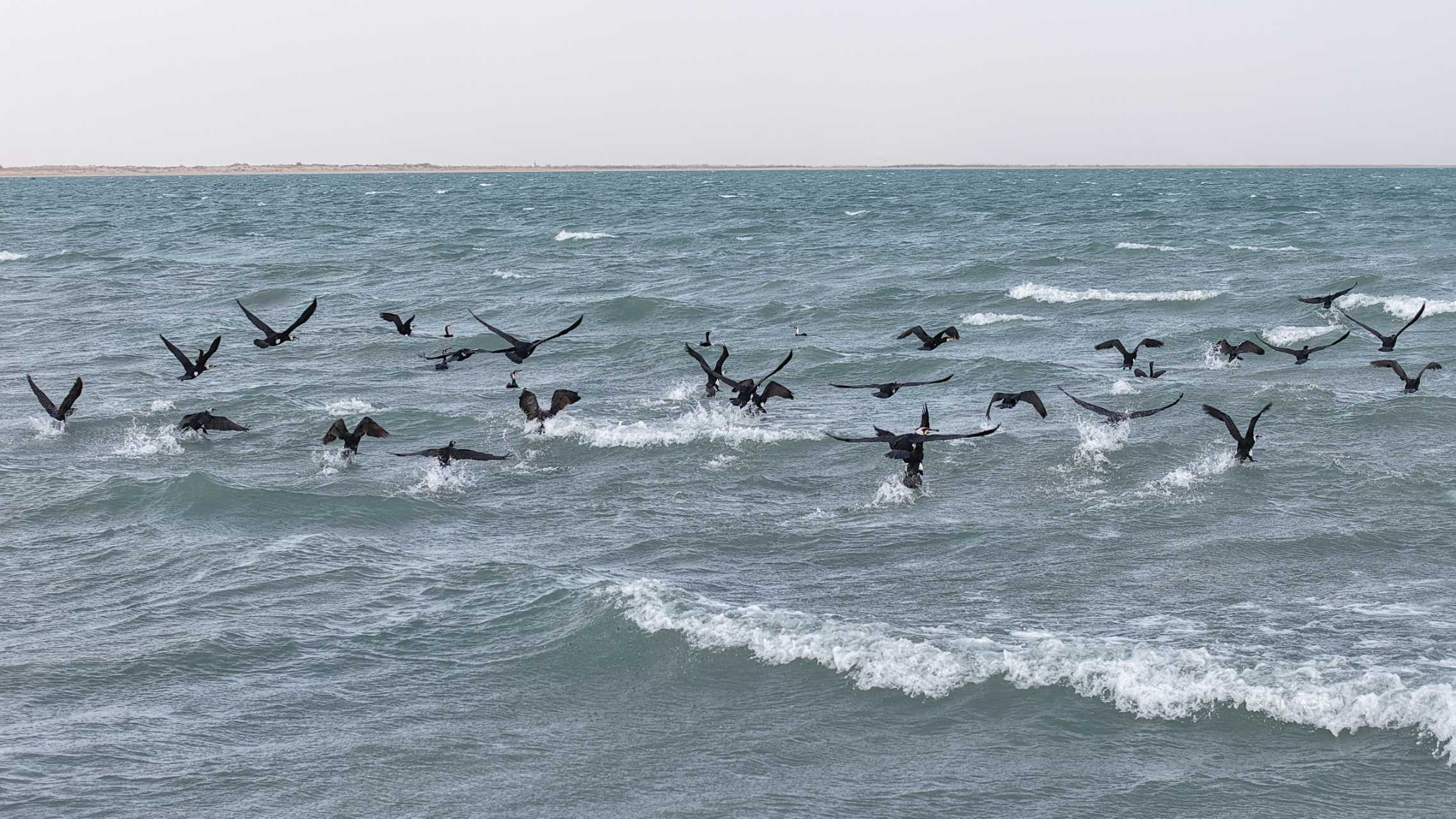 mmexport1774953907165