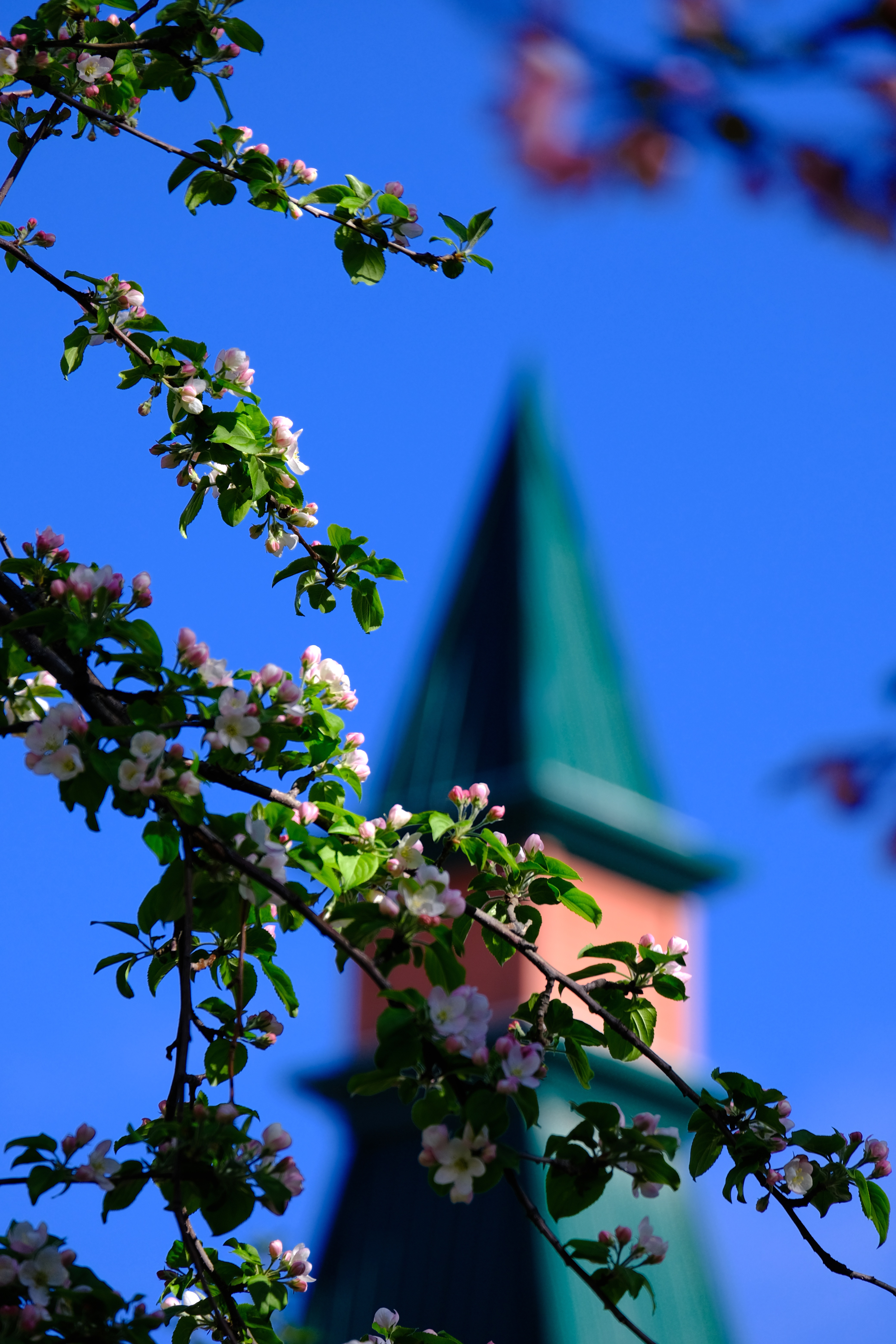 mmexport1776572704463