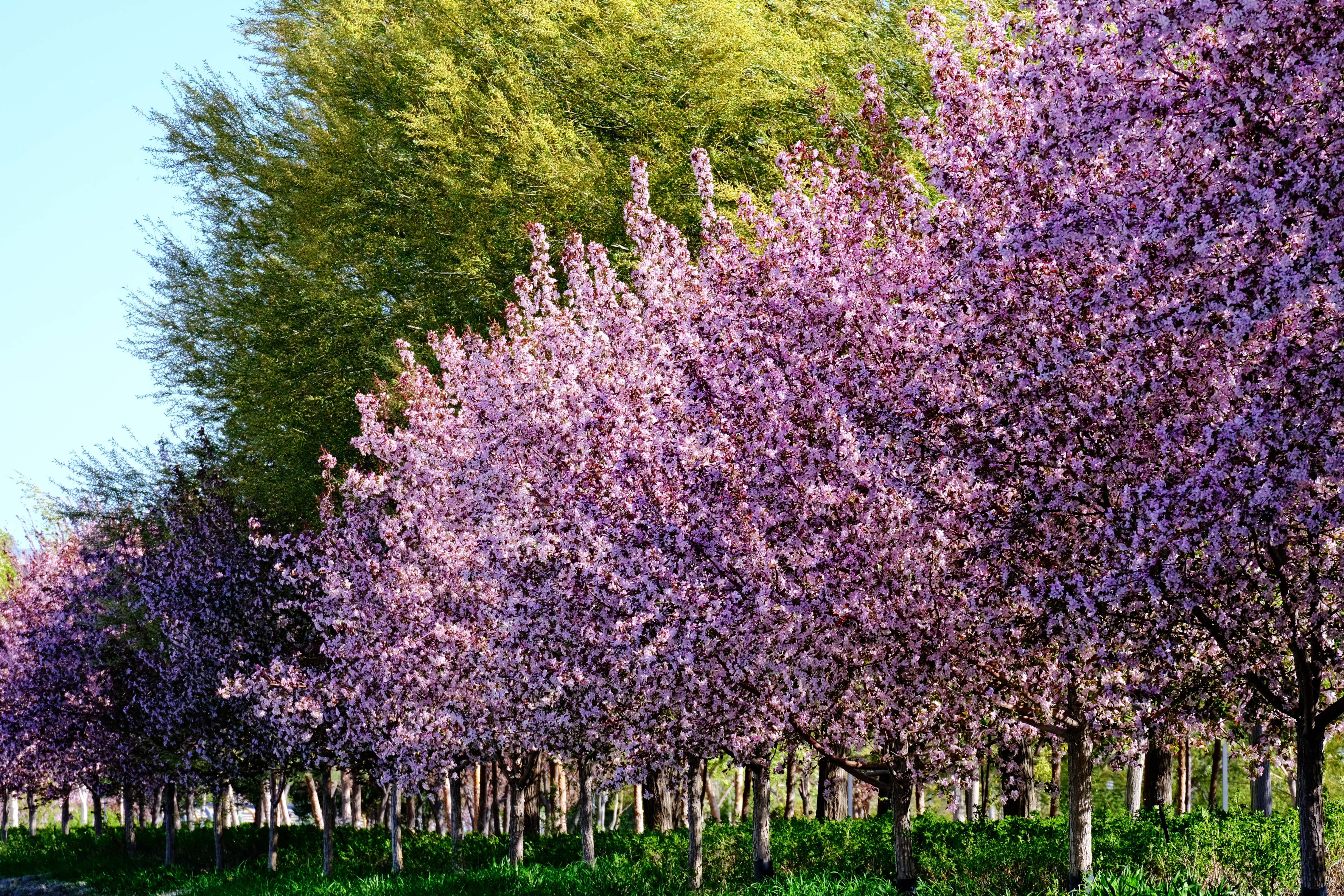 mmexport1776572758509